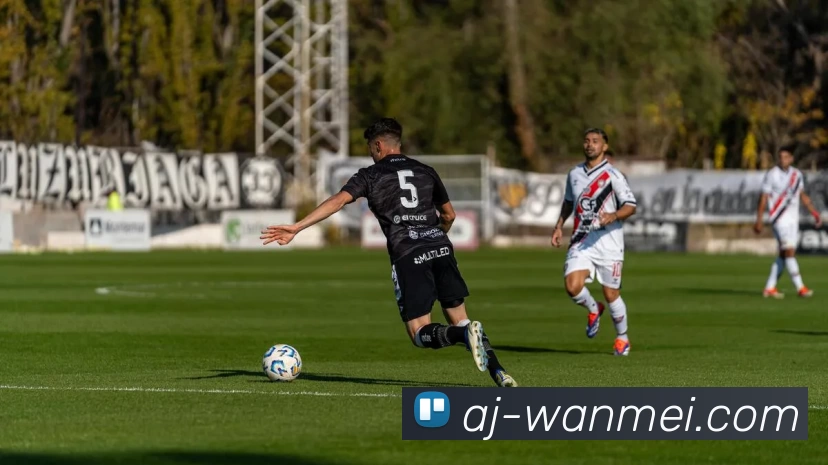 完美体育APP下载发展历程